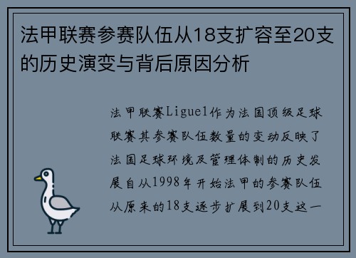 法甲联赛参赛队伍从18支扩容至20支的历史演变与背后原因分析