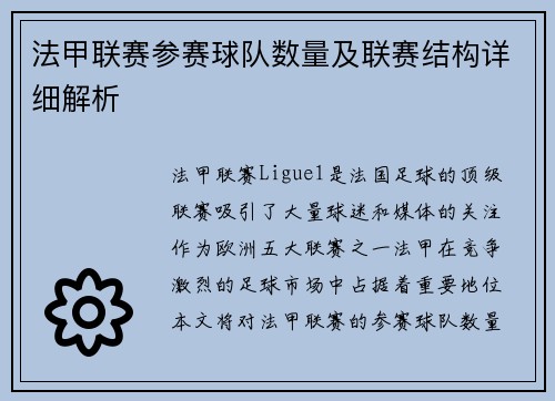 法甲联赛参赛球队数量及联赛结构详细解析