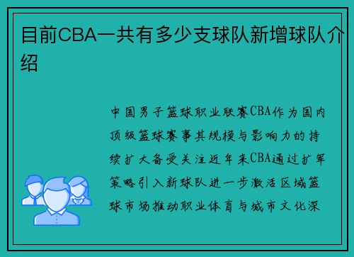 目前CBA一共有多少支球队新增球队介绍